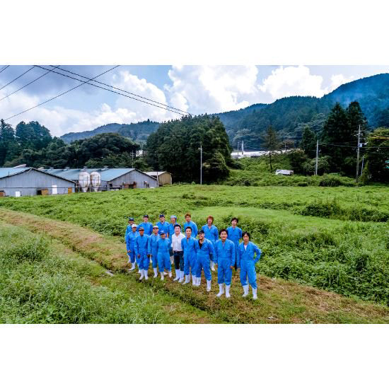 匠の技 鹿野ファーム匠セット≪送料込≫
