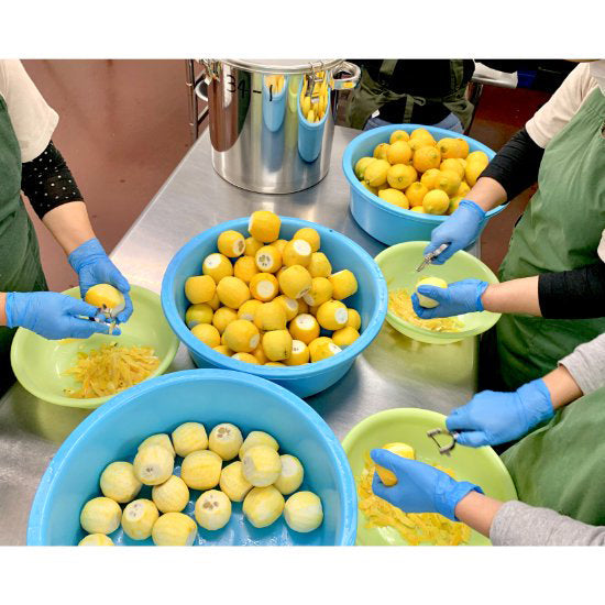 (酒)瀬戸内のレモンチェッロ 生レモンチェッロ≪送料込≫