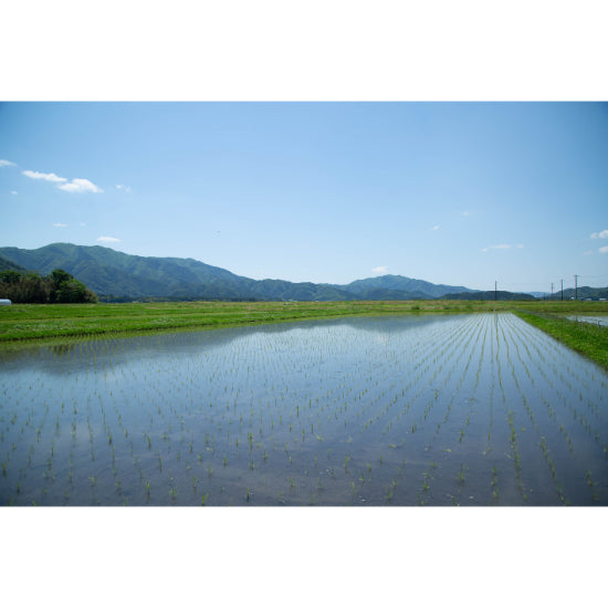 (酒)鴻城乃誉純米吟醸≪送料込≫