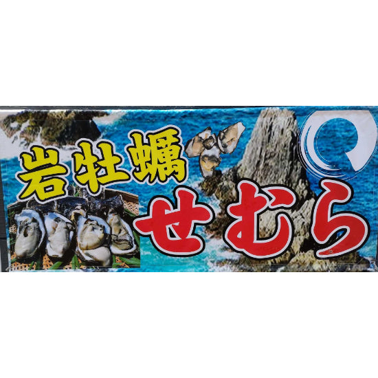 岩牡蛎 (せむら牡蠣)≪送料込≫