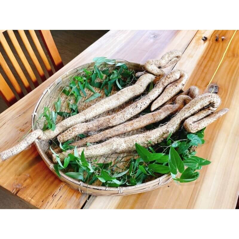 (酒)自然薯焼酎『山の神』≪送料込≫