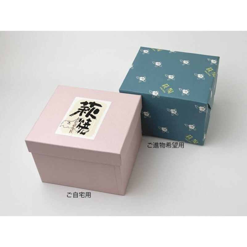 マグ 渚