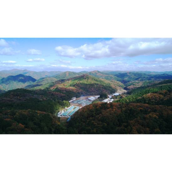 匠の技 鹿野ファーム匠セット≪送料込≫
