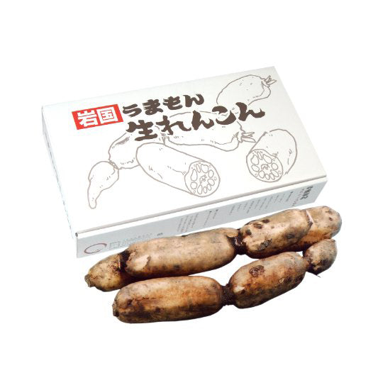 うまもん堆肥栽培岩国生れんこん