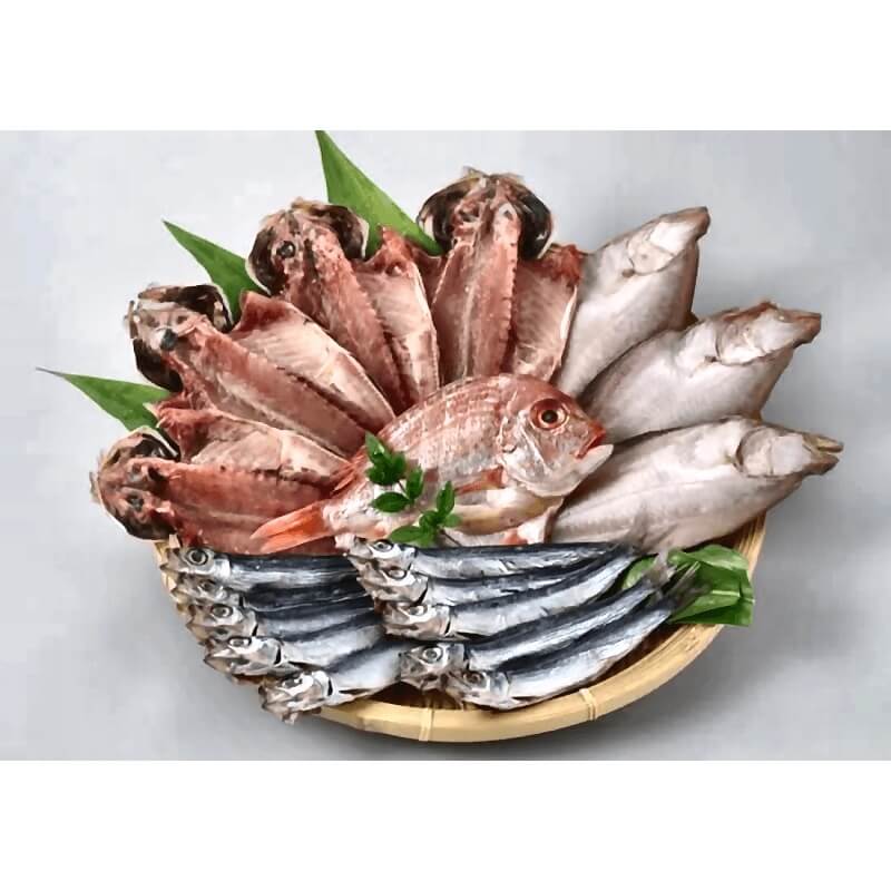 山口県産干物セット YA-9≪送料込≫