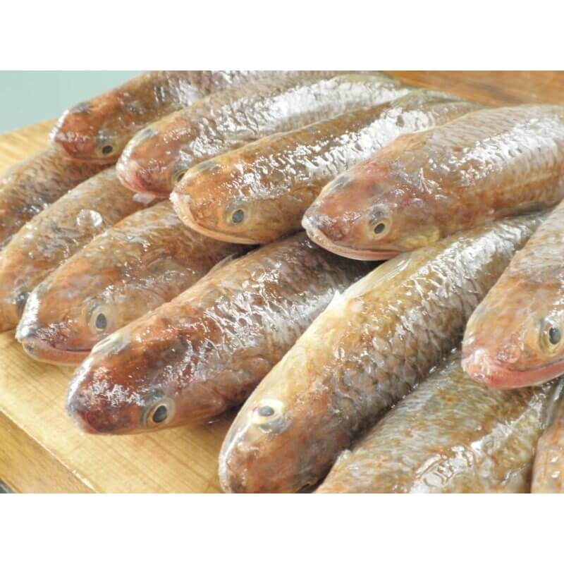 大和浜千鳥小板５本入≪送料込≫