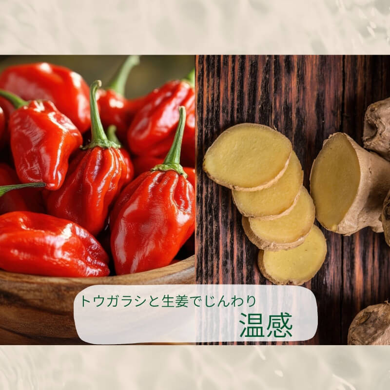 KORI KANPO HEAT GEL コリカンポ―ヒートジェル