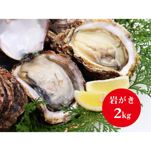 岩牡蛎　（せむら牡蠣）≪送料込≫