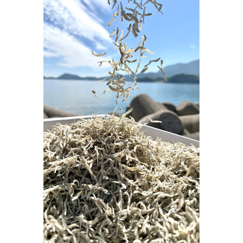 大島の恵みセット≪送料込≫