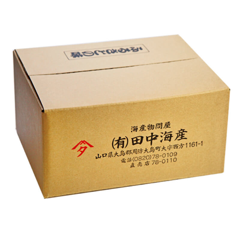 大島の恵みセット≪送料込≫